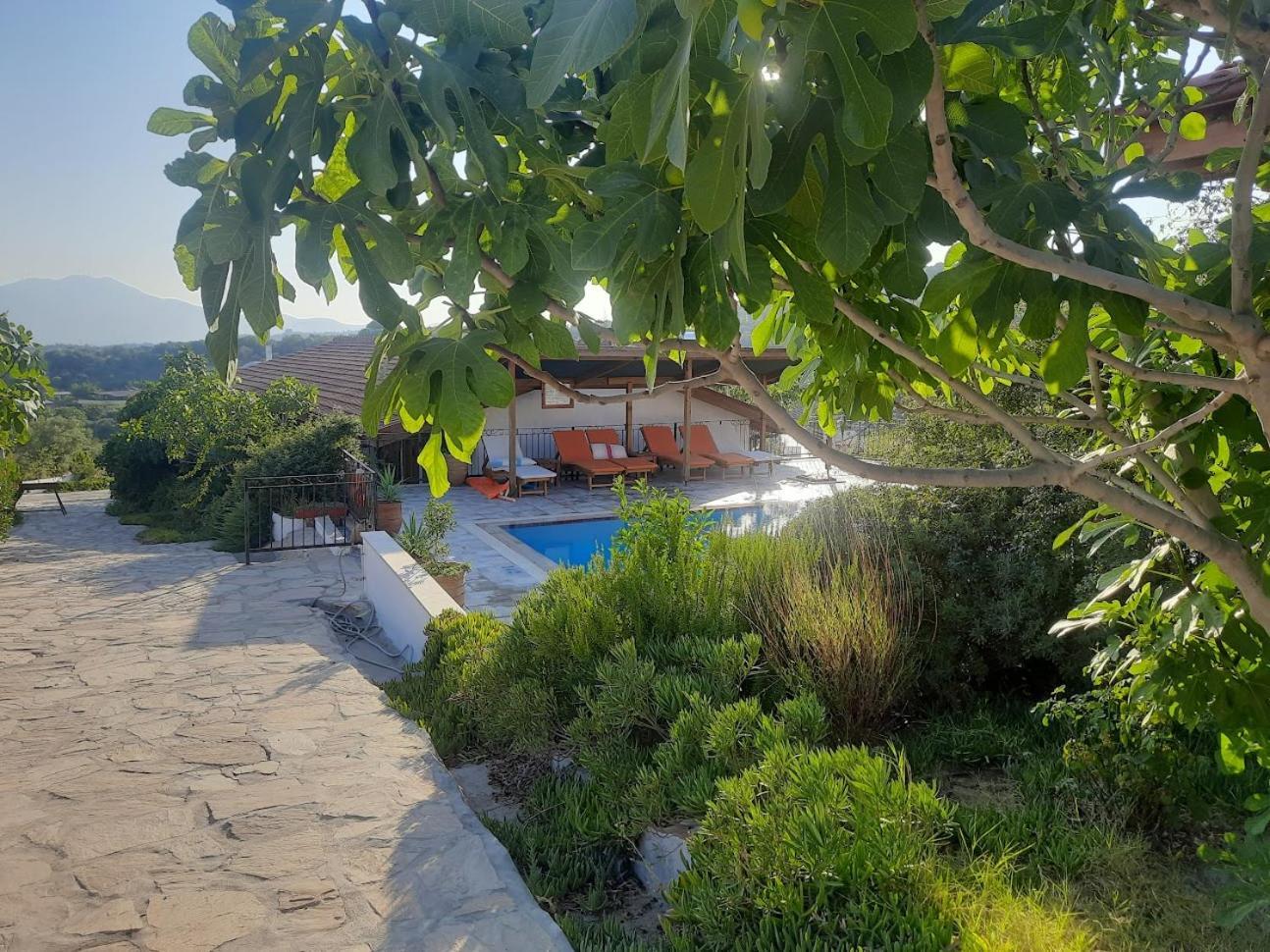Ionia Guest House Aydin Exterior foto