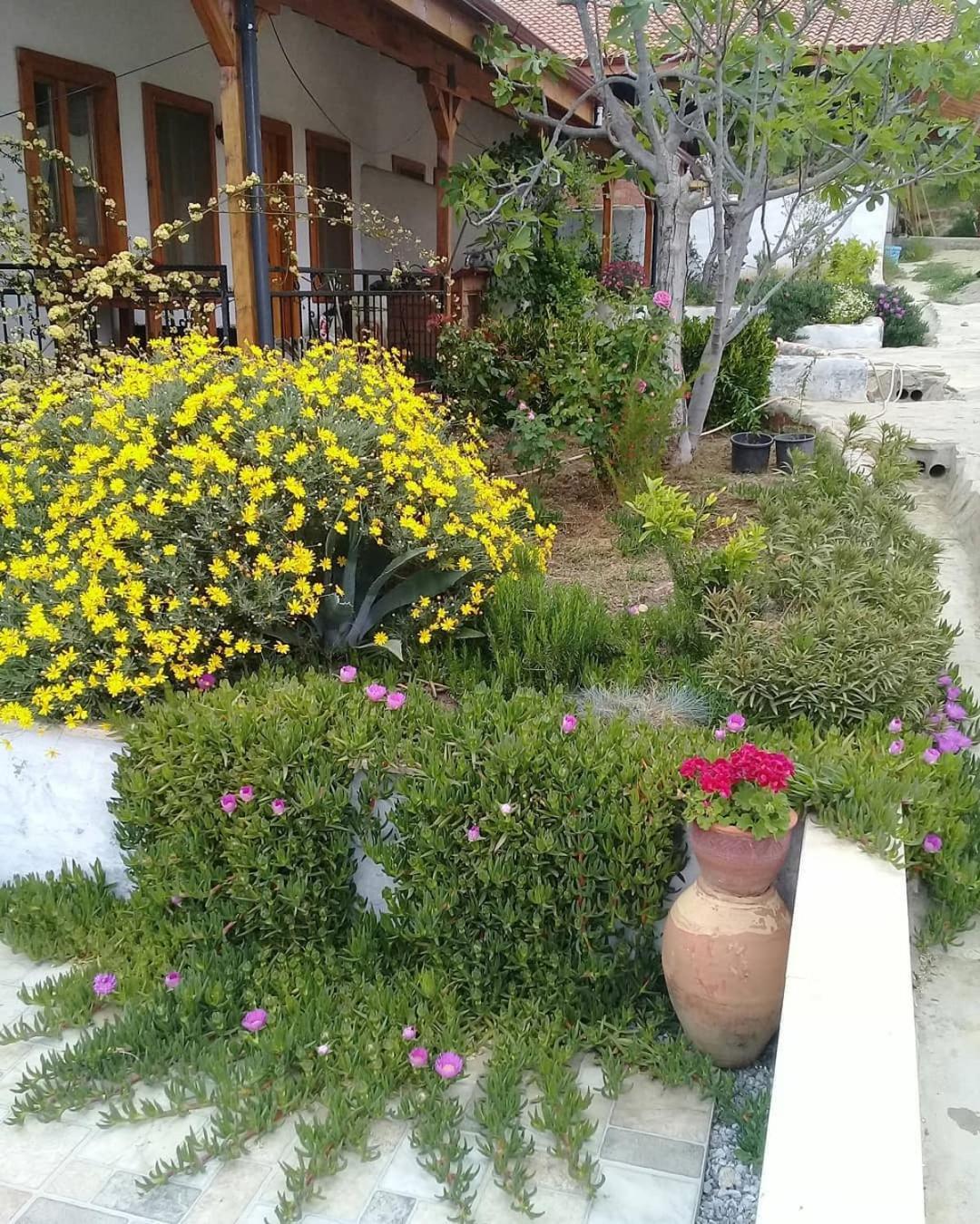 Ionia Guest House Aydin Exterior foto