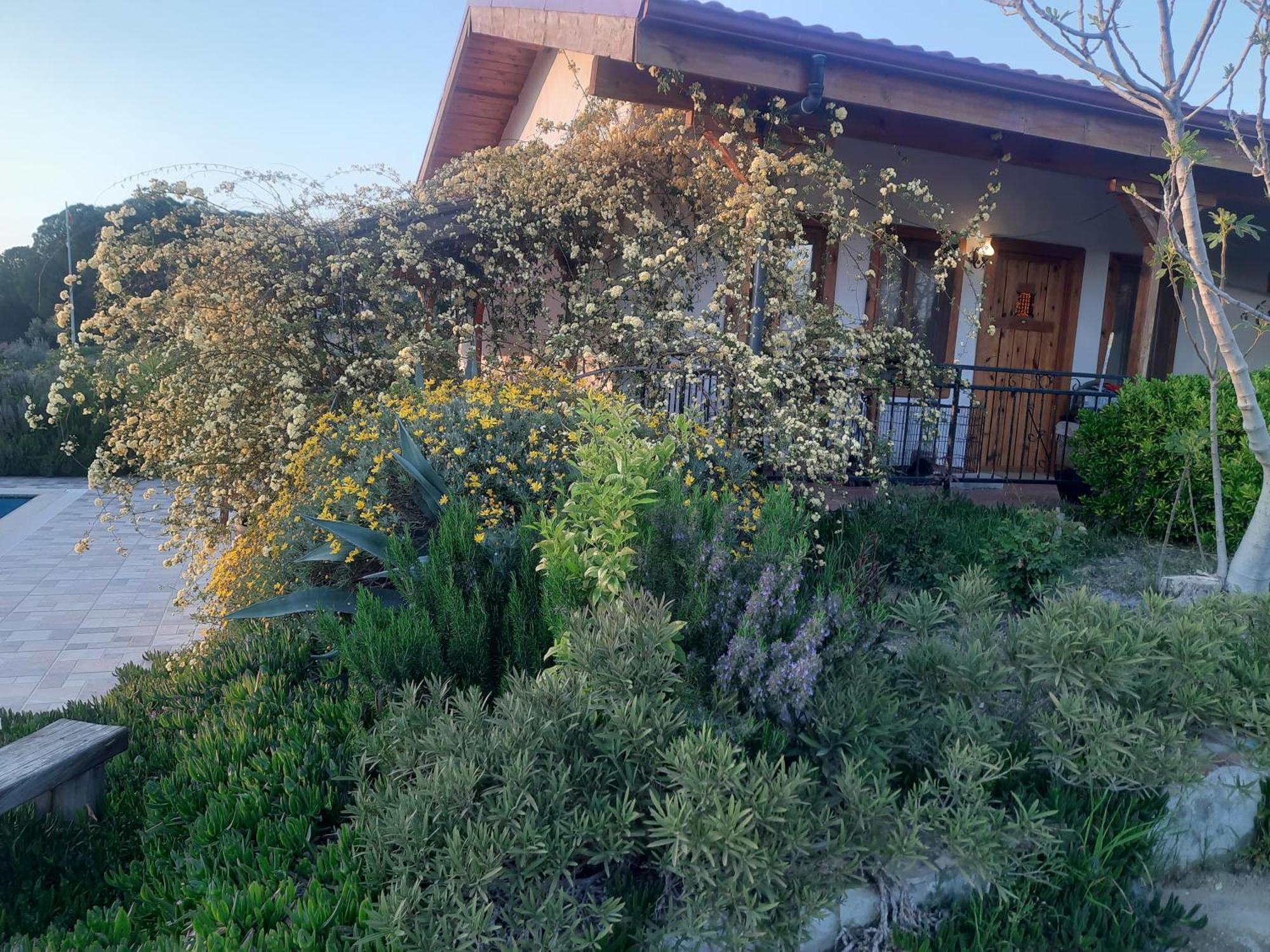 Ionia Guest House Aydin Exterior foto