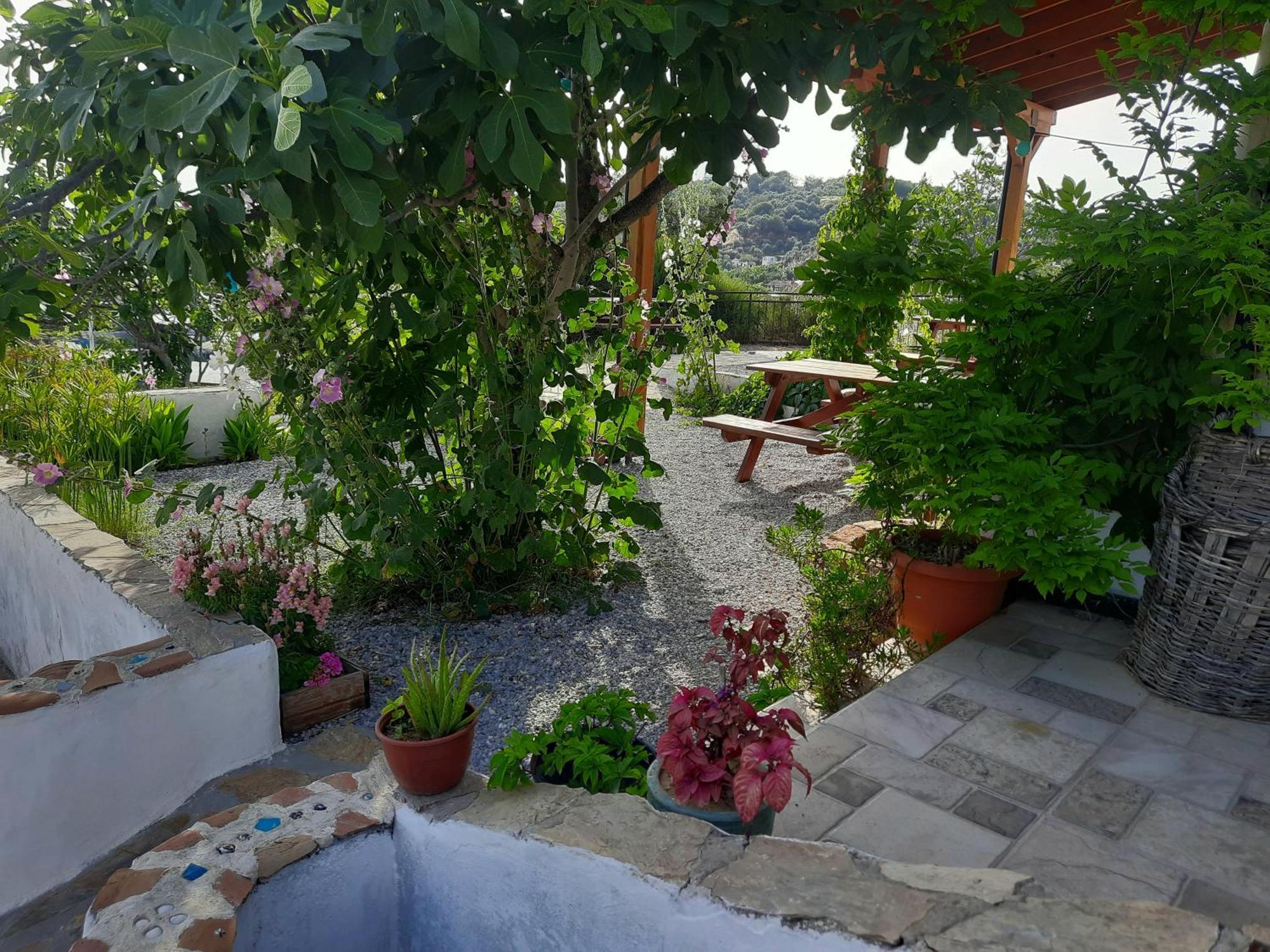 Ionia Guest House Aydin Exterior foto