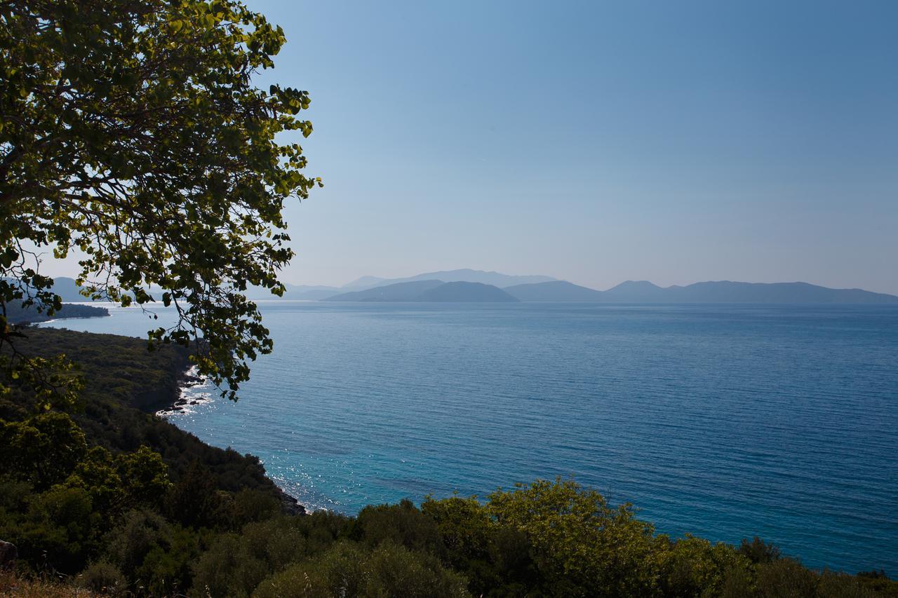 Ionia Guest House Aydin Exterior foto